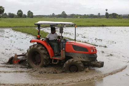 rice-planting-in-Naypyitaw